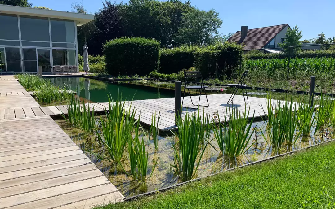 Hedendaagse zwemvijver in harmonie met de natuur